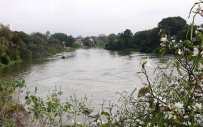 Meio Ambiente levado a sério: Prefeitura de Jacareí assina termo de cooperação com Corredor Ecológico do Vale do Paraíba